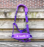 Halster met naam en figuurtjes